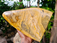 Polished Large Picture Stone Jasper Standing Free Form x 1 From Ais-Ais, Namibia - Toprock Gemstones and Minerals 