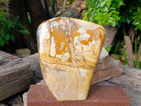 Polished Large Picture Stone Jasper Standing Free Form x 1 From Ais-Ais, Namibia - Toprock Gemstones and Minerals 