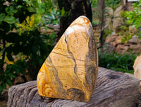 Polished Large Picture Stone Jasper Standing Free Form x 1 From Ais-Ais, Namibia - Toprock Gemstones and Minerals 