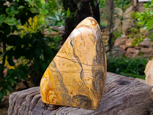 Polished Large Picture Stone Jasper Standing Free Form x 1 From Ais-Ais, Namibia