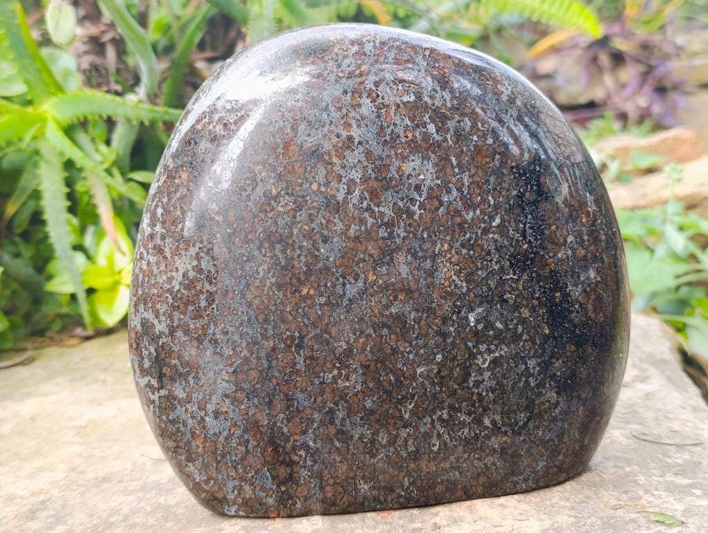 Polished Eclogite Garnet Standing Free Form x 1 From Northern Cape, South Africa - Toprock Gemstones and Minerals 