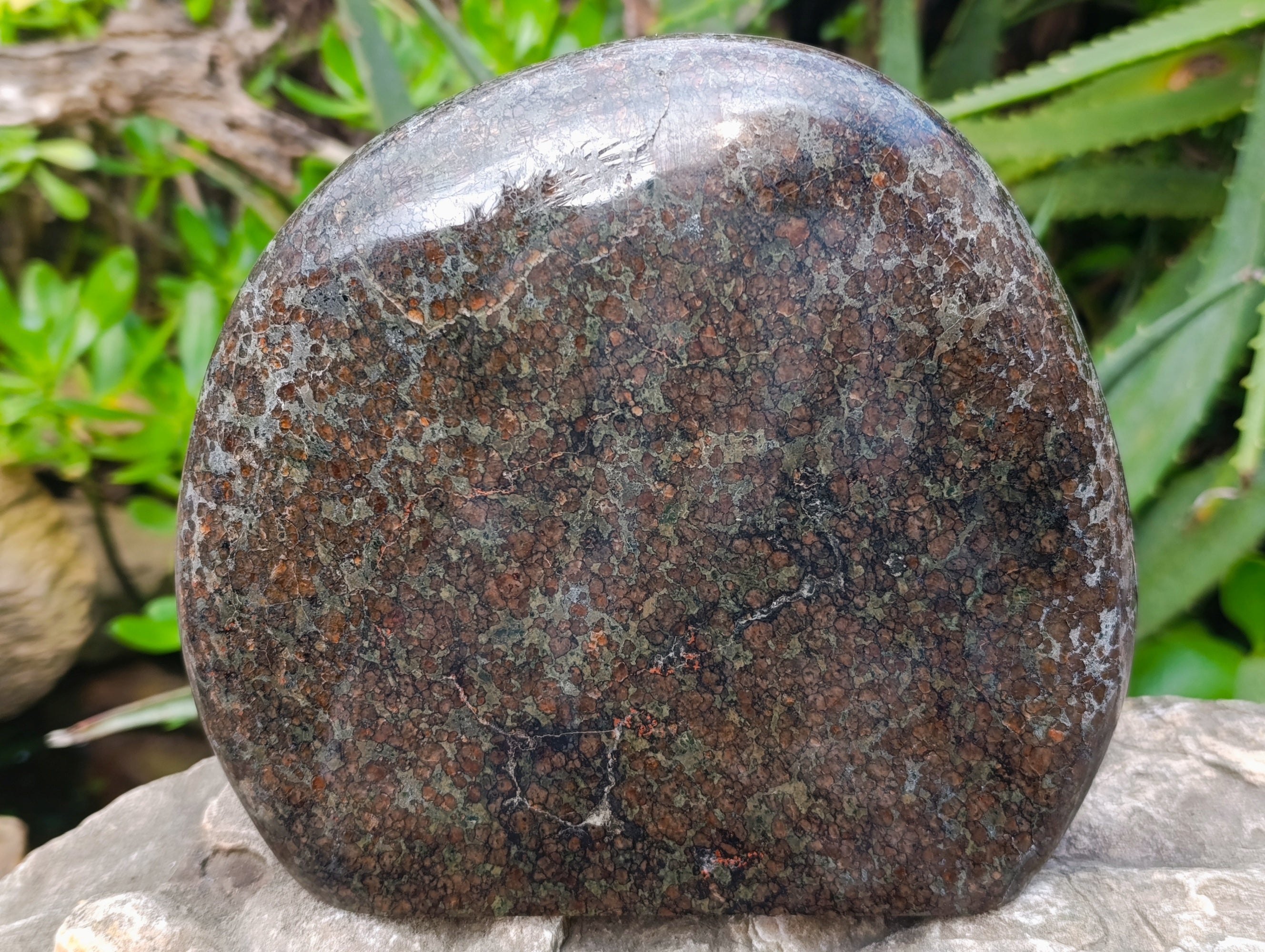 Polished Eclogite Garnet Standing Free Form x 1 From Northern Cape, South Africa - Toprock Gemstones and Minerals 