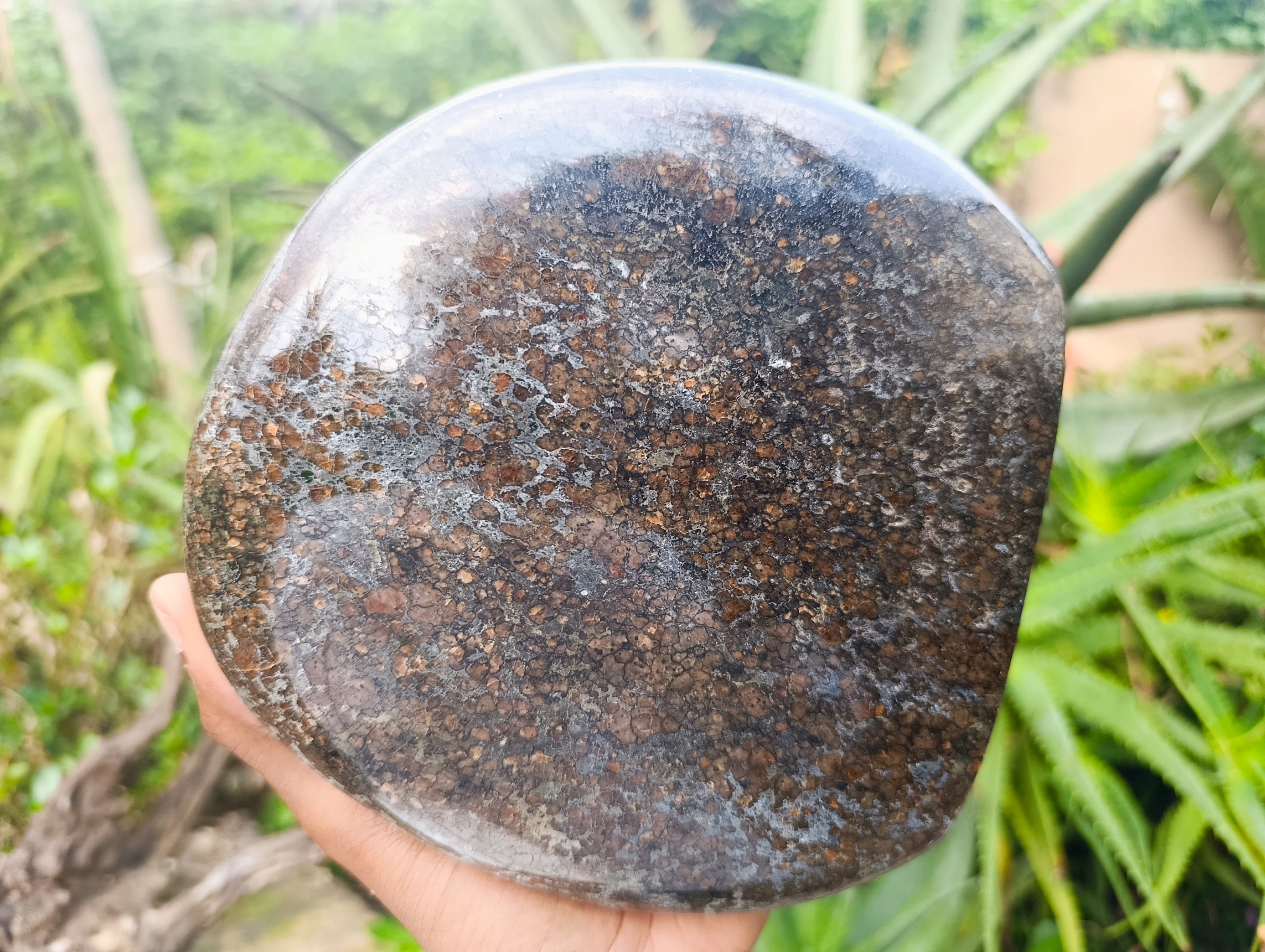 Polished Eclogite Garnet Standing Free Form x 1 From Northern Cape, South Africa - Toprock Gemstones and Minerals 