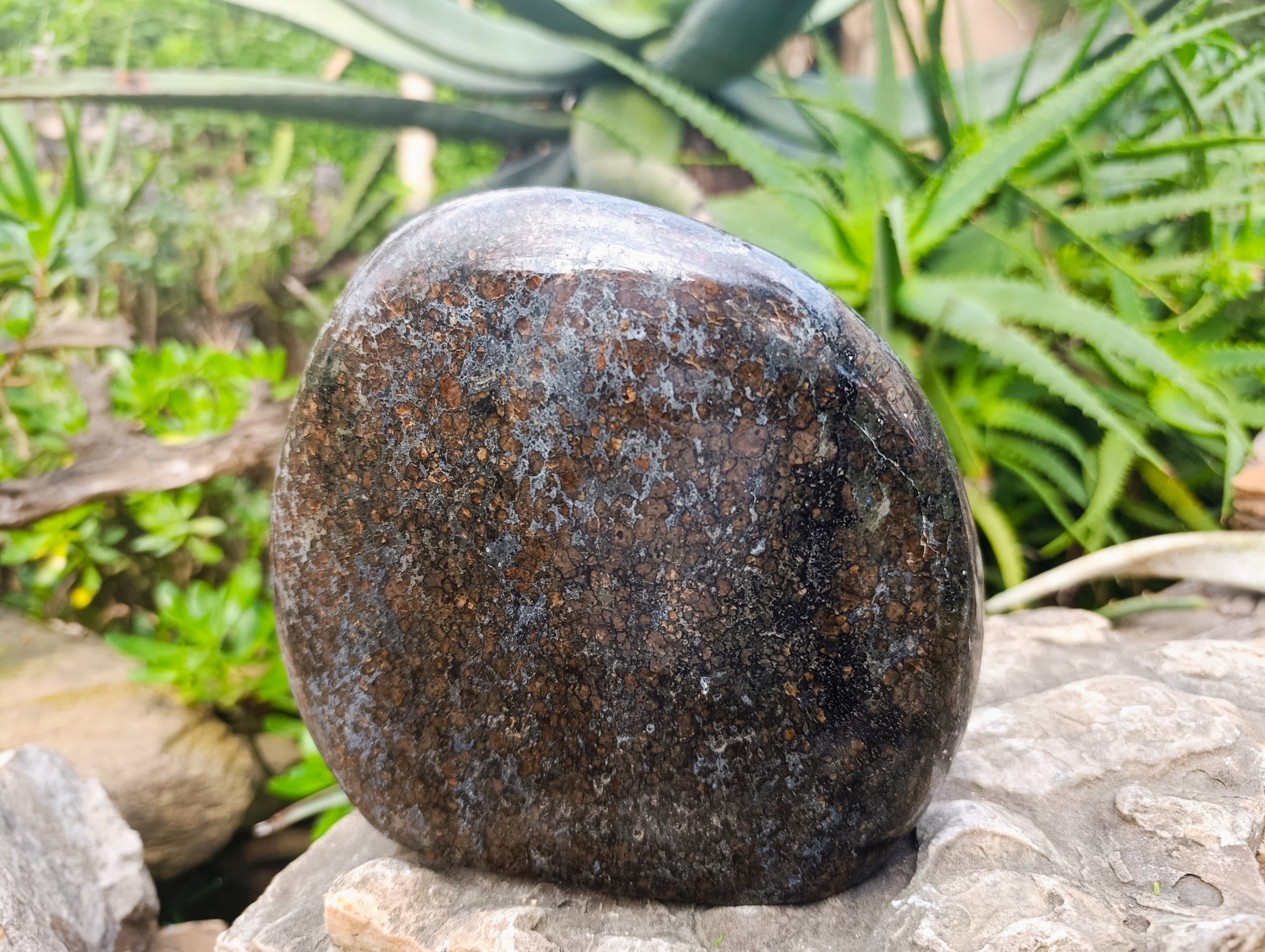 Polished Eclogite Garnet Standing Free Form x 1 From Northern Cape, South Africa - Toprock Gemstones and Minerals 