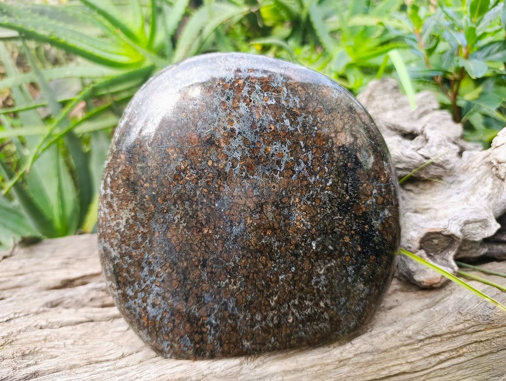 Polished Eclogite Garnet Standing Free Form x 1 From Northern Cape, South Africa - Toprock Gemstones and Minerals 