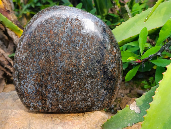 Polished Eclogite Garnet Standing Free Form x 1 From Northern Cape, South Africa