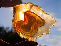 Polished Banded Agate Slices x 12 From Madagascar