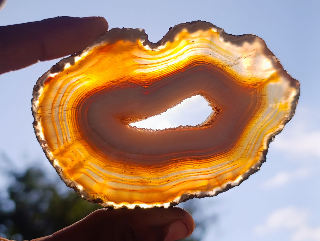 Polished Banded Agate Slices x 12 From Madagascar - Toprock Gemstones and Minerals 