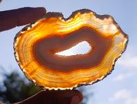 Polished Banded Agate Slices x 12 From Madagascar