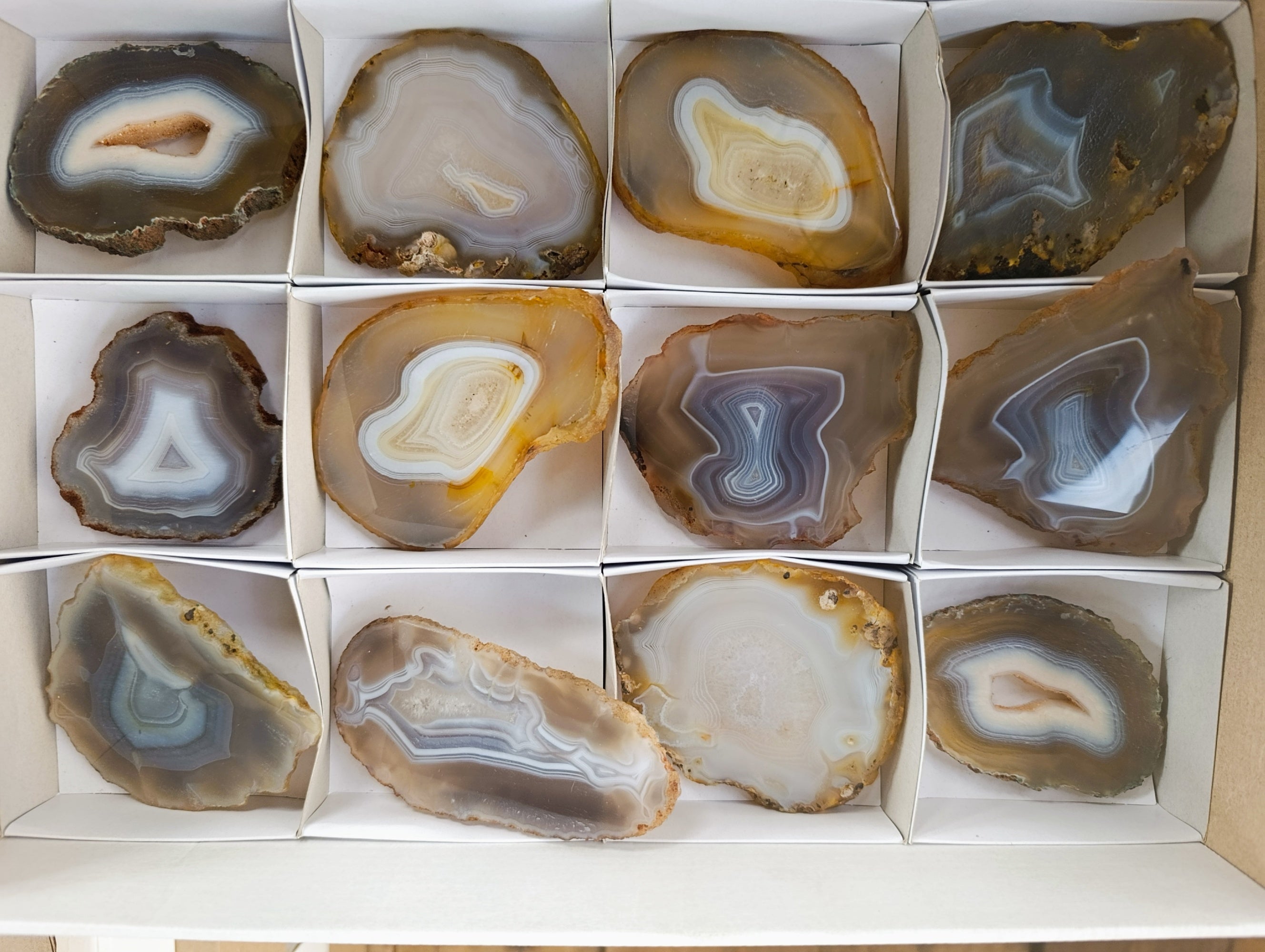Polished Banded Agate Slices x 12 From Madagascar - Toprock Gemstones and Minerals 