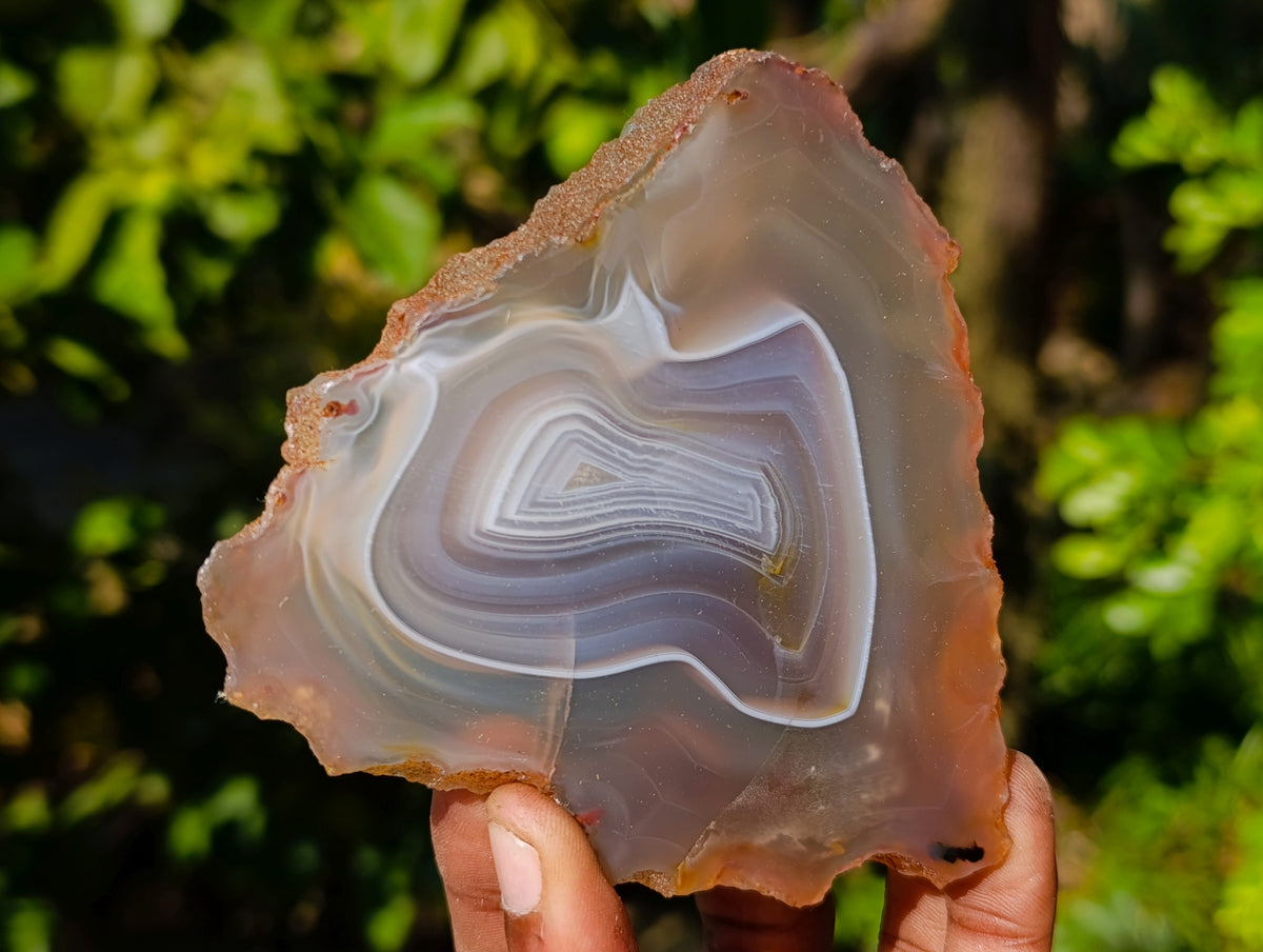 Polished Banded Agate Slices x 12 From Madagascar - Toprock Gemstones and Minerals 
