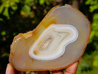 Polished Banded Agate Slices x 12 From Madagascar