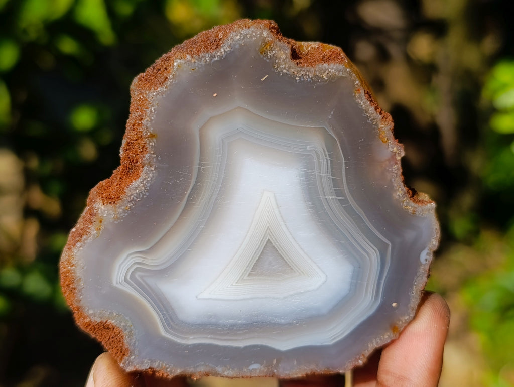 Polished Banded Agate Slices x 12 From Madagascar - Toprock Gemstones and Minerals 