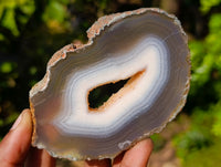 Polished Banded Agate Slices x 12 From Madagascar
