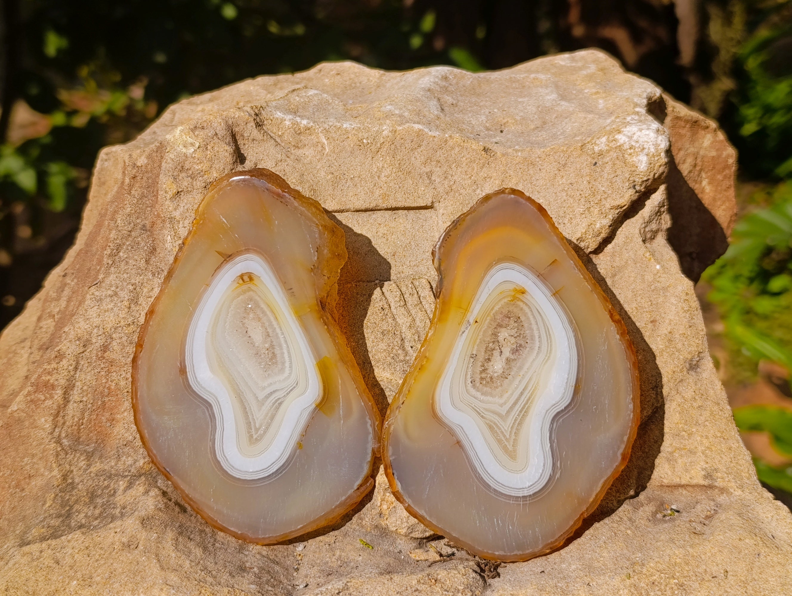 Polished Banded Agate Slices x 12 From Madagascar - Toprock Gemstones and Minerals 