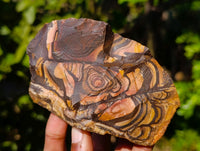 Natural Nguni Jasper Cobbed Specimens x 9 From Prieska, South Africa