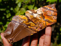 Natural Nguni Jasper Cobbed Specimens x 9 From Prieska, South Africa