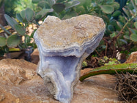 Natural Blue Lace Agate Geode Specimens x 2 From Nsanje, Malawi - Toprock Gemstones and Minerals 