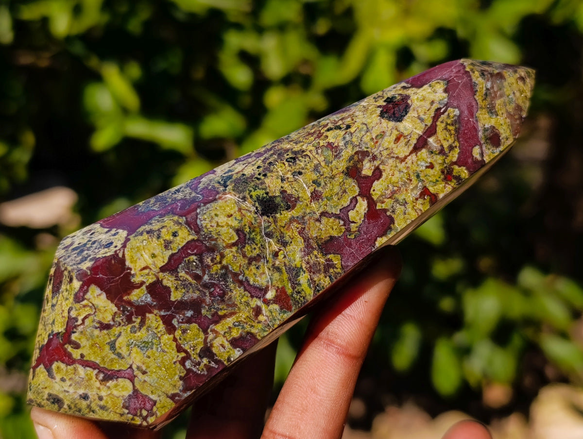 Polished Bastite Dragons Blood Stone Double Terminated Points x 5 From Tshipise, South Africa - Toprock Gemstones and Minerals 