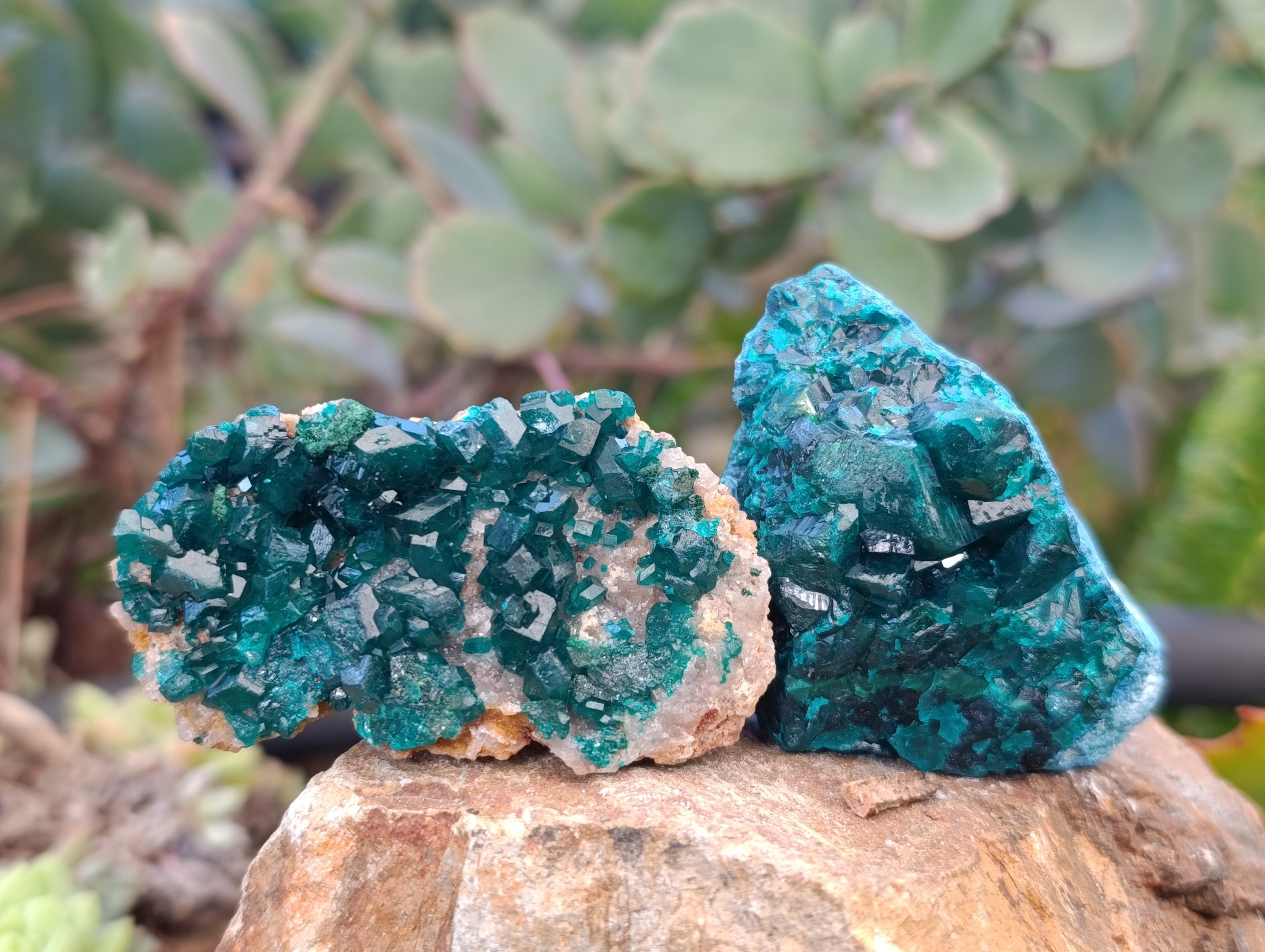 Natural Dioptase Specimens with Chrysocolla on Dolomite Matrix x 6 From Likasi, Congo - Toprock Gemstones and Minerals 