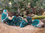 Natural Dioptase Specimens with Chrysocolla on Dolomite Matrix x 6 From Likasi, Congo - Toprock Gemstones and Minerals 