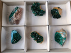 Natural Dioptase Specimens with Chrysocolla on Dolomite Matrix x 6 From Likasi, Congo - Toprock Gemstones and Minerals 