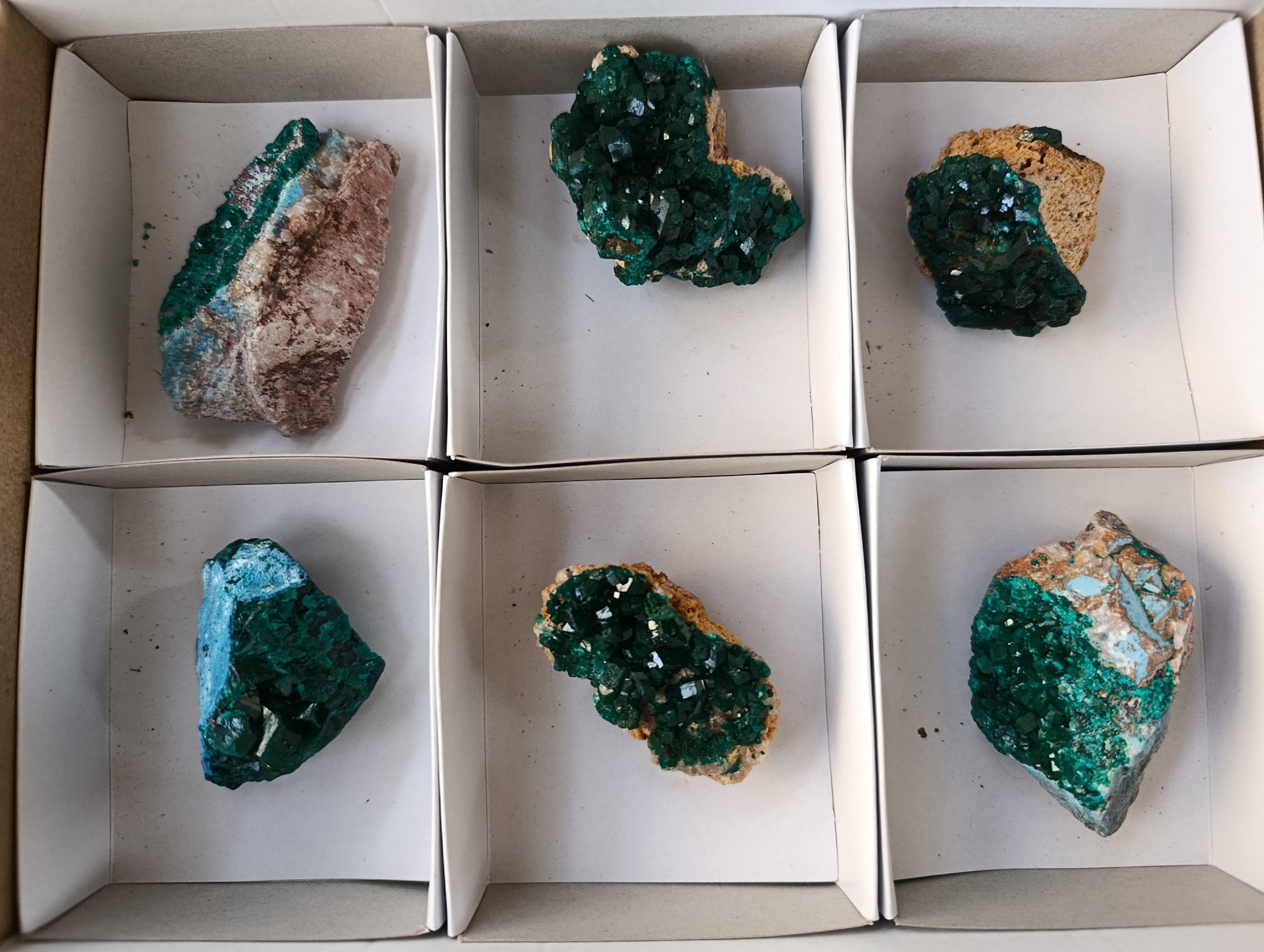 Natural Dioptase Specimens with Chrysocolla on Dolomite Matrix x 6 From Likasi, Congo - Toprock Gemstones and Minerals 
