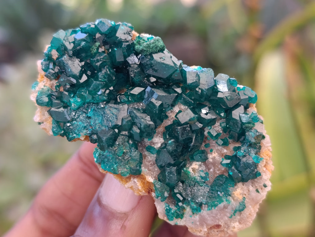 Natural Dioptase Specimens with Chrysocolla on Dolomite Matrix x 6 From Likasi, Congo - Toprock Gemstones and Minerals 