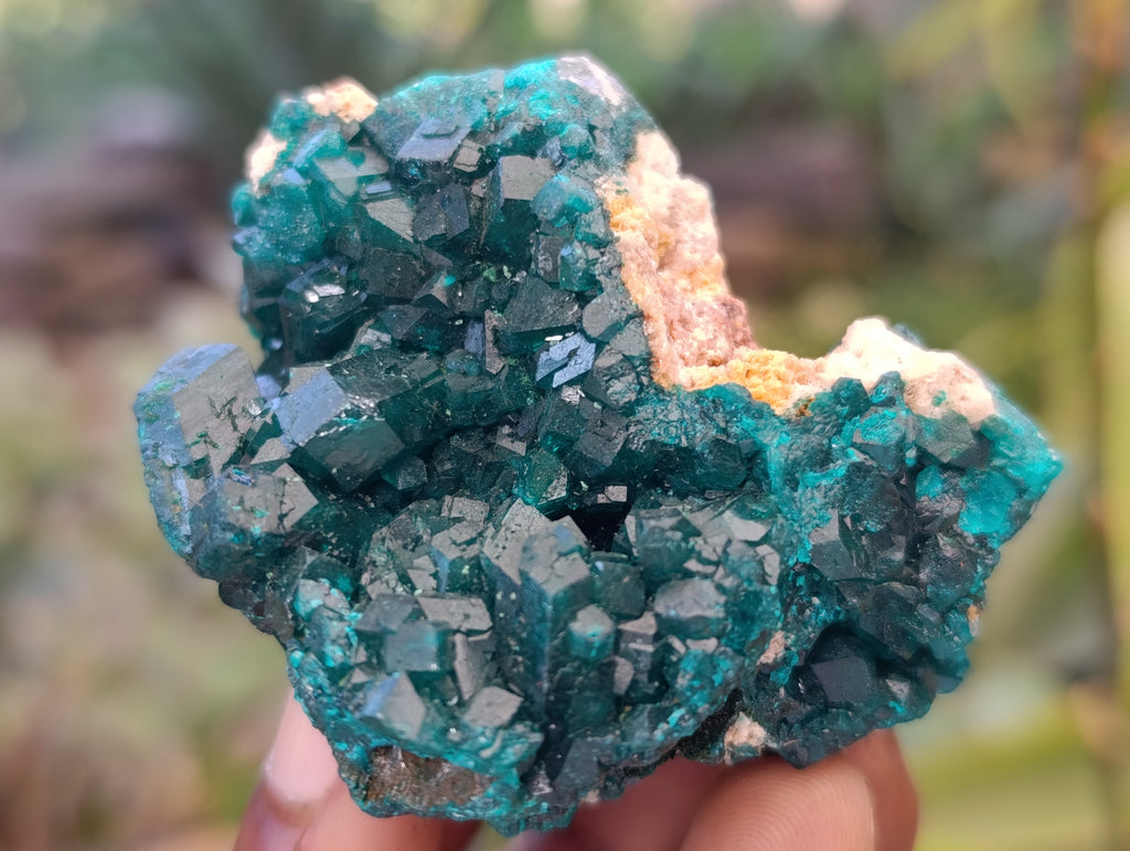 Natural Dioptase Specimens with Chrysocolla on Dolomite Matrix x 6 From Likasi, Congo - Toprock Gemstones and Minerals 