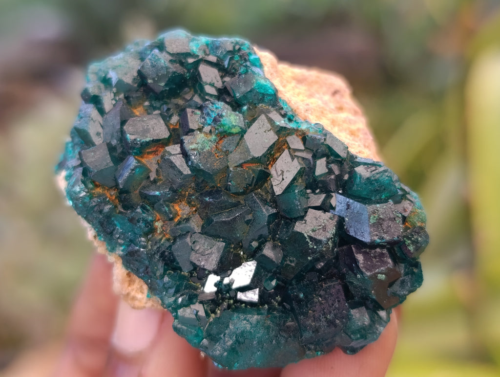 Natural Dioptase Specimens with Chrysocolla on Dolomite Matrix x 6 From Likasi, Congo - Toprock Gemstones and Minerals 