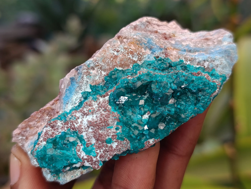 Natural Dioptase Specimens with Chrysocolla on Dolomite Matrix x 6 From Likasi, Congo - Toprock Gemstones and Minerals 