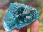 Natural Dioptase Specimens with Chrysocolla on Dolomite Matrix x 6 From Likasi, Congo - Toprock Gemstones and Minerals 