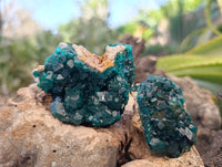 Natural Dioptase Specimens with Chrysocolla on Dolomite Matrix x 6 From Likasi, Congo - Toprock Gemstones and Minerals 