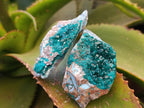 Natural Dioptase Specimens with Chrysocolla on Dolomite Matrix x 6 From Likasi, Congo - Toprock Gemstones and Minerals 