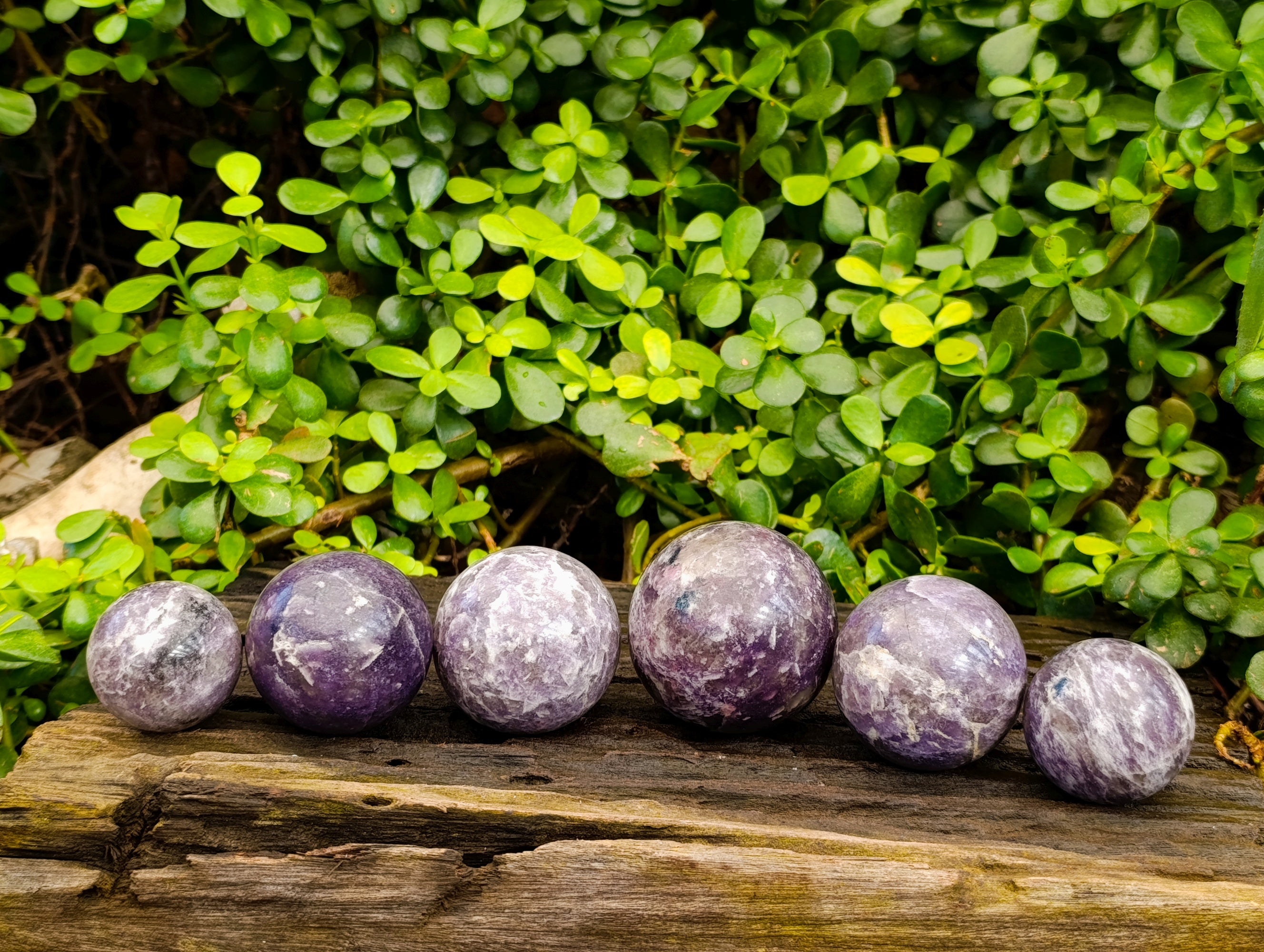 Polished Lepidolite with Pink Rubellite Spheres x 6 From Ambatondrazaka, Madagascar - Toprock Gemstones and Minerals 
