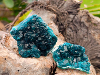 Natural Small Dioptase Specimens on Dolomite Matrix x 12 From Likasi, Congo - Toprock Gemstones and Minerals 