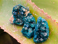Natural Small Dioptase Specimens on Dolomite Matrix x 12 From Likasi, Congo - Toprock Gemstones and Minerals 