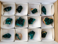 Natural Small Dioptase Specimens on Dolomite Matrix x 12 From Likasi, Congo - Toprock Gemstones and Minerals 