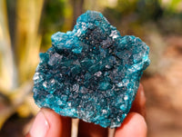 Natural Small Dioptase Specimens on Dolomite Matrix x 12 From Likasi, Congo - Toprock Gemstones and Minerals 