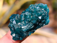 Natural Small Dioptase Specimens on Dolomite Matrix x 12 From Likasi, Congo - Toprock Gemstones and Minerals 