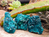 Natural Small Dioptase Specimens on Dolomite Matrix x 12 From Likasi, Congo - Toprock Gemstones and Minerals 