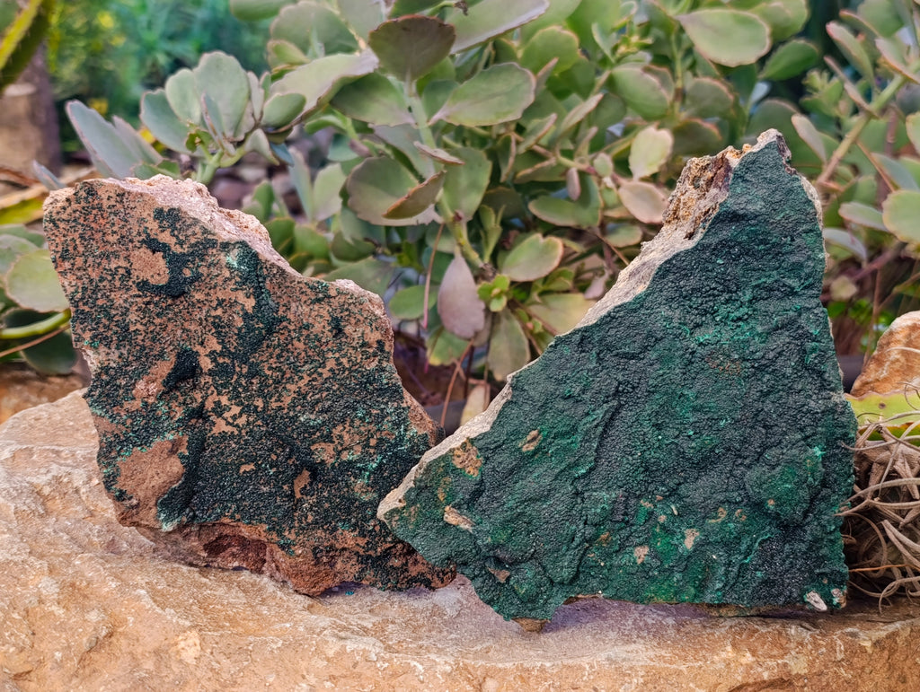 Natural Crystalline Malachite Specimens x 2 From Tenke Fungurume, Congo - Toprock Gemstones and Minerals 
