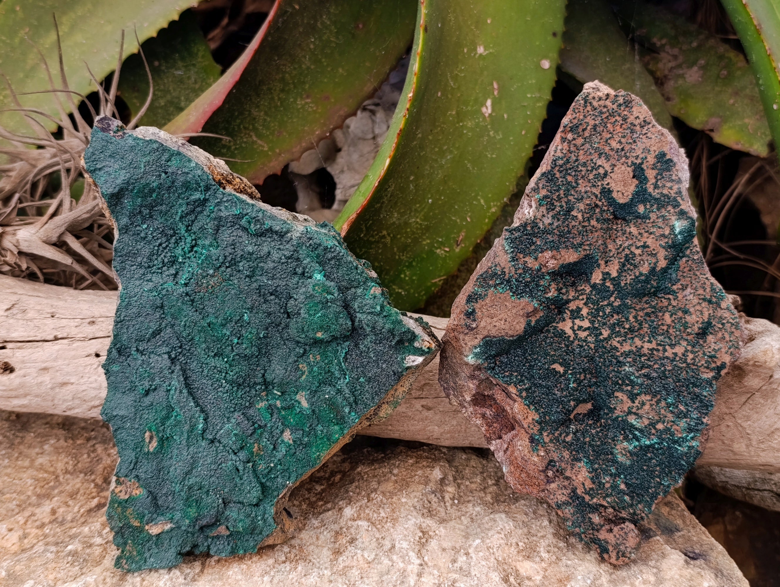 Natural Crystalline Malachite Specimens x 2 From Tenke Fungurume, Congo - Toprock Gemstones and Minerals 