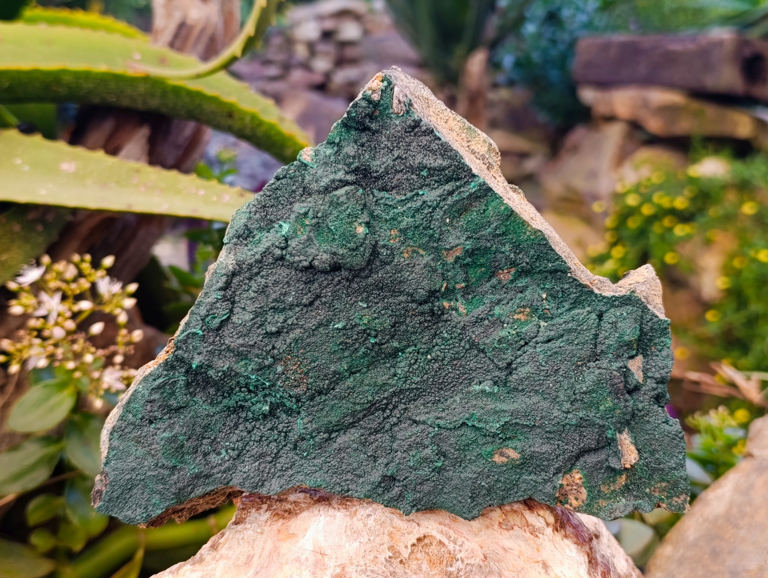 Natural Crystalline Malachite Specimens x 2 From Tenke Fungurume, Congo - Toprock Gemstones and Minerals 