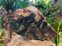 Natural Crystalline Malachite Specimens x 2 From Tenke Fungurume, Congo