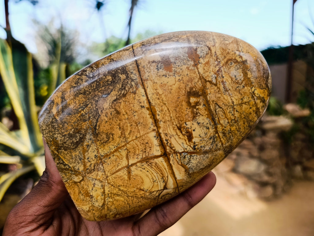 Polished Picture Stone Jasper Standing Free Forms x 2 From Ais-Ais, Namibia - Toprock Gemstones and Minerals 