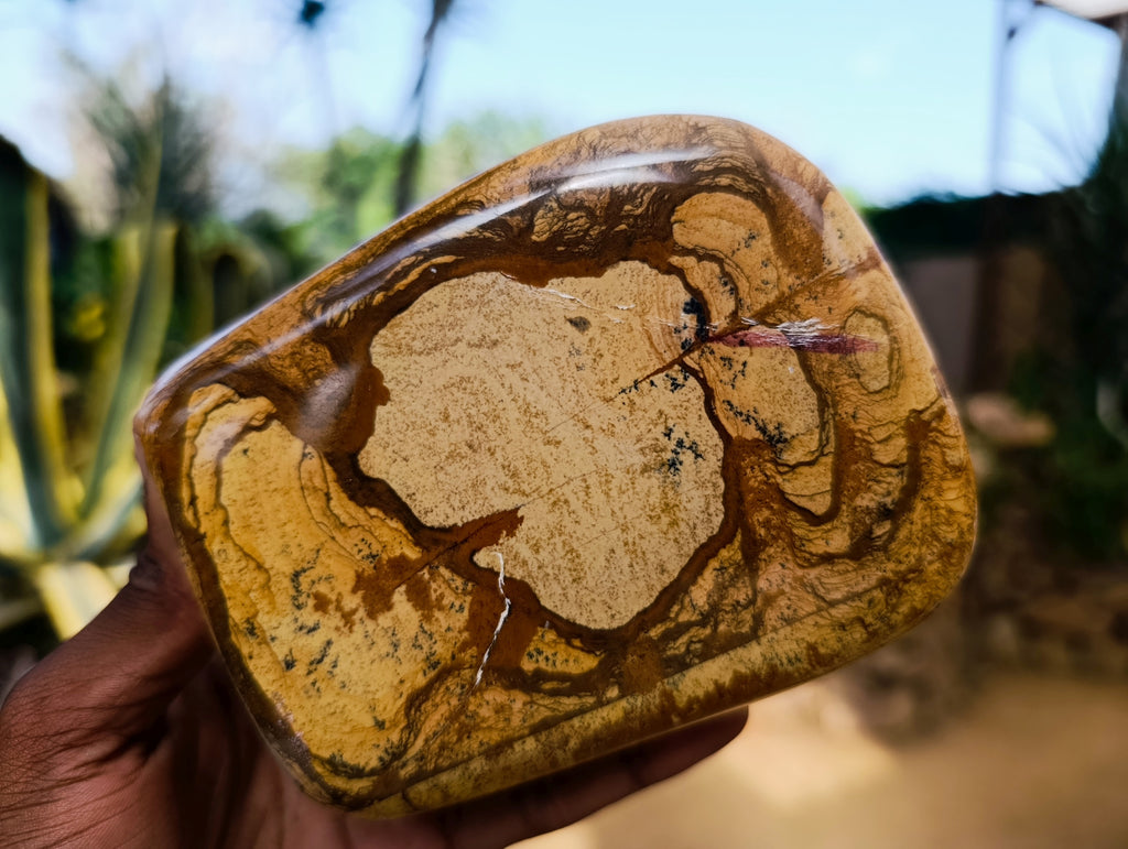 Polished Picture Stone Jasper Standing Free Forms x 2 From Ais-Ais, Namibia - Toprock Gemstones and Minerals 