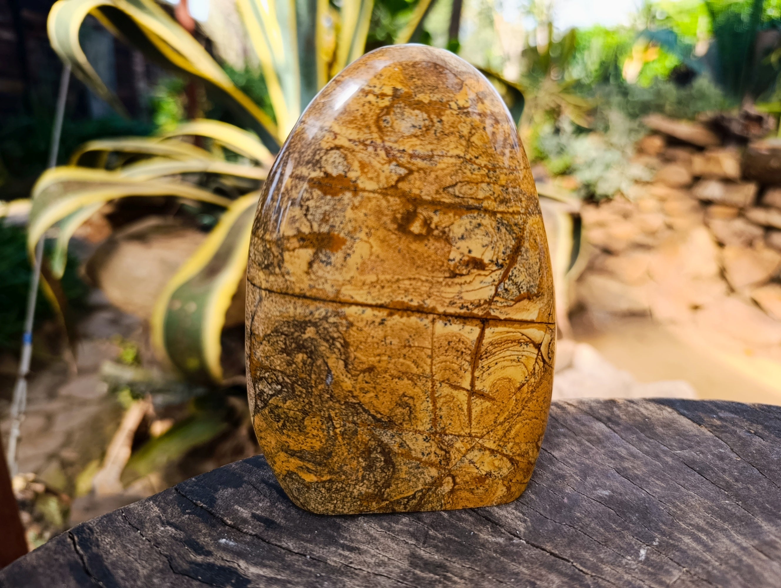 Polished Picture Stone Jasper Standing Free Forms x 2 From Ais-Ais, Namibia - Toprock Gemstones and Minerals 