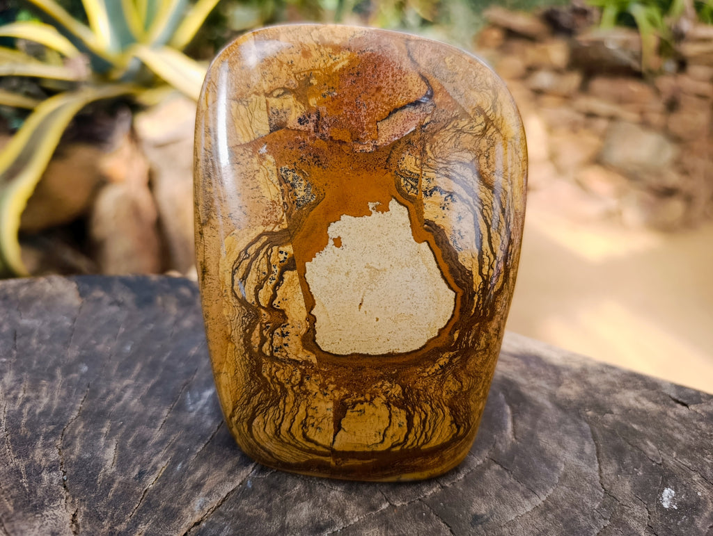 Polished Picture Stone Jasper Standing Free Forms x 2 From Ais-Ais, Namibia - Toprock Gemstones and Minerals 