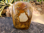 Polished Picture Stone Jasper Standing Free Forms x 2 From Ais-Ais, Namibia - Toprock Gemstones and Minerals 